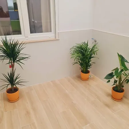 Arenas Del Piso En Playas Del Palo *